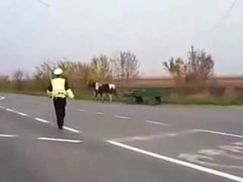 Pijani ciga zaustavlja ga policija Smijeh do suza