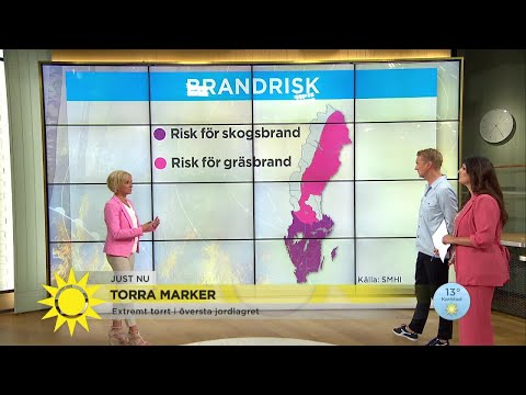 Torra marker i större delen av landet – varning för skogsbrand - Nyhetsmorgon (TV4)