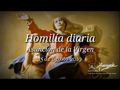Homilía diaria - La Asunción de la Virgen - 15/08/2019