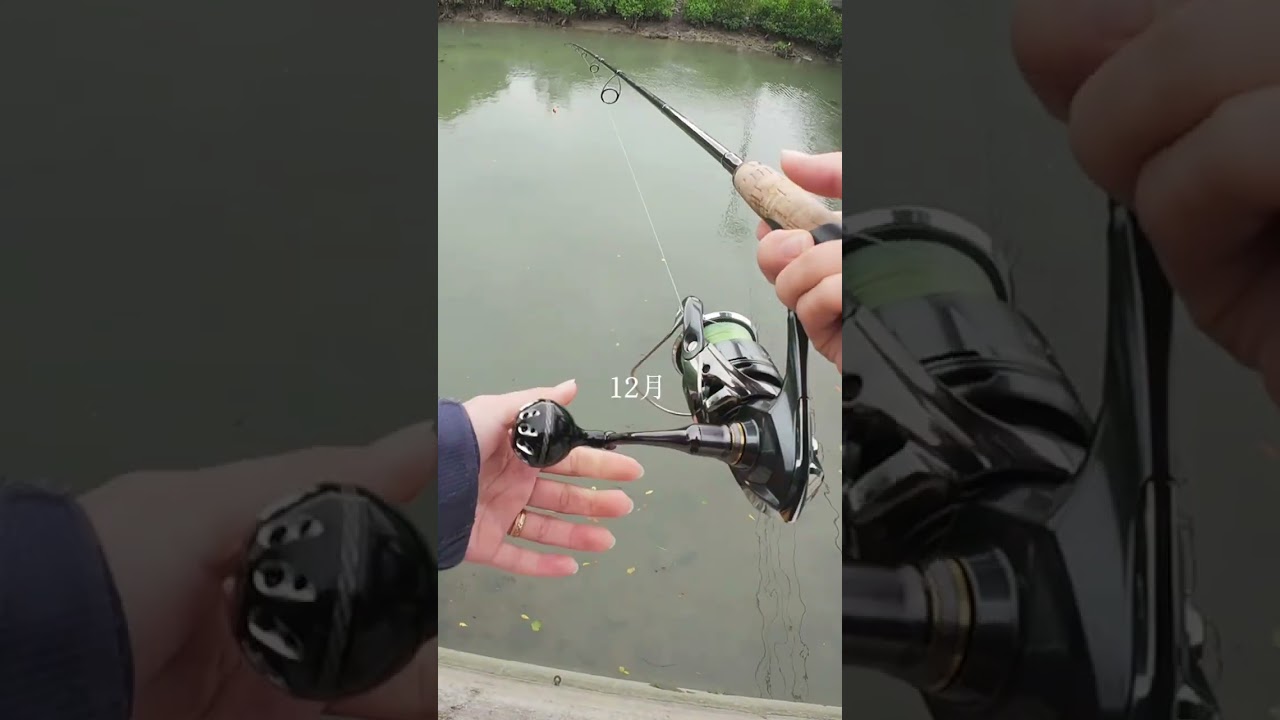 釣れたルアーを同じ場所で投げると？#fidelity #PLIABLE73ml #沖縄釣り