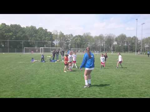 Albatros E2 - Swift E2 2015