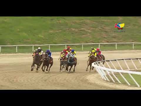 Caribbean Fellowship Cup 🏆 (females) | Sharapova | La Rinconada International Racetrack