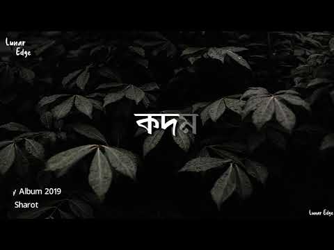 Kodom | Blue Jeans | Music Video