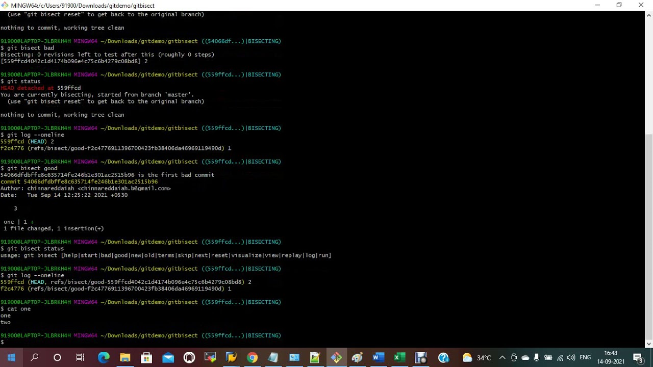 Git Session 13 || Git Bisect || git bisect