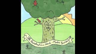 Modern Baseball - (240)