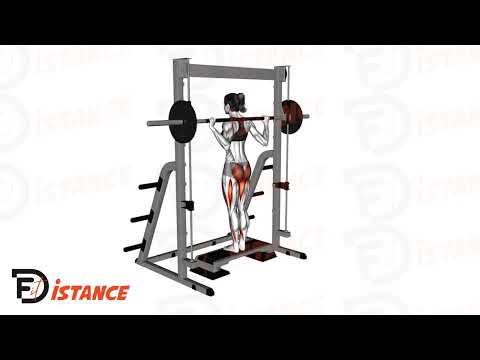 Fentes arrières à la Smith Machine (guidée) - Exercice Fentes arrières à la Smith Machine (guidée) en vidéo