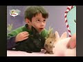 Niños Y Mascotas BabyTV Español
