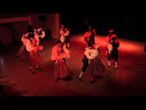 Kontsert Väike Eestimaa - Viiulipolka