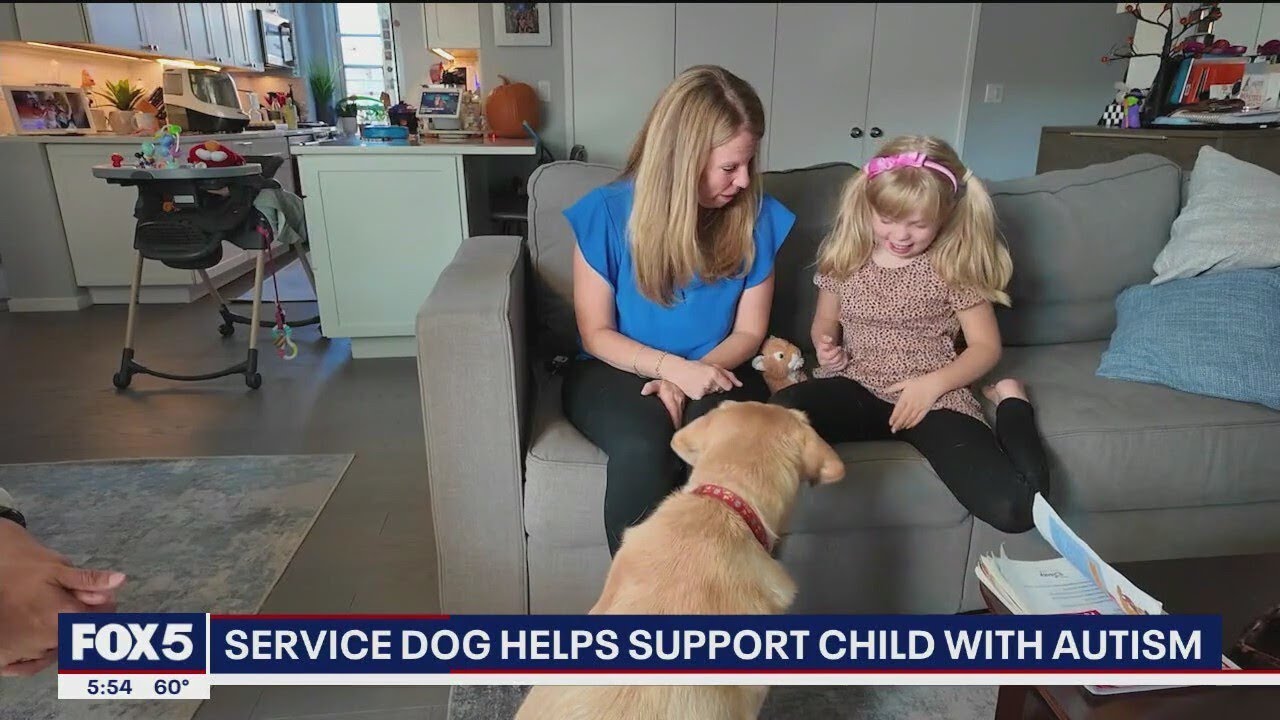 Service dog helps support child with autism