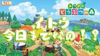 【3回目】イトウ今日までらしいじゃない！釣ろう！