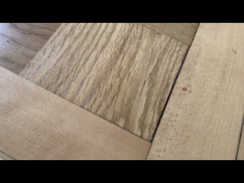 7/6/2024 | SB 4.31.21 | HHBVVN | Geneva