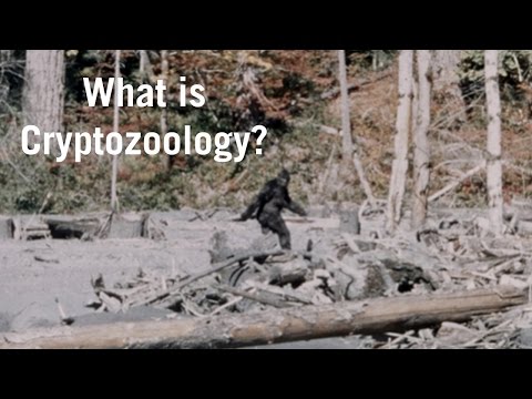 What Is Cryptozoology?