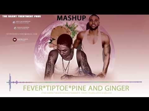 Vybz Kartel, Jason Derulo, Amindi K. Fro$t, Tessellated & Valleyz - MashUp #(1) 2018