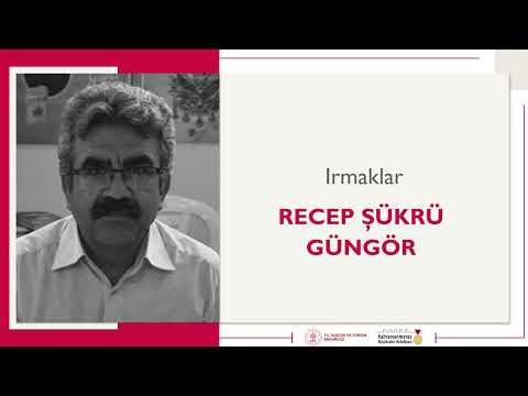Irmaklar | Recep Şükrü Güngör