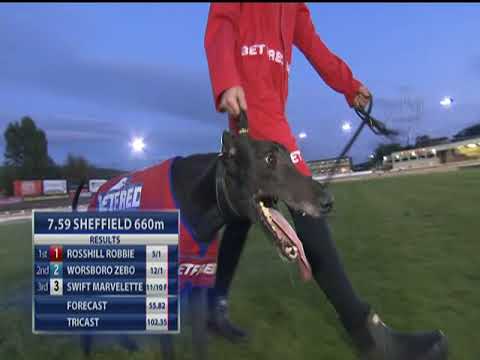 2017 BETFRED STAYERS - T1 ROSSHILL ROBBIE