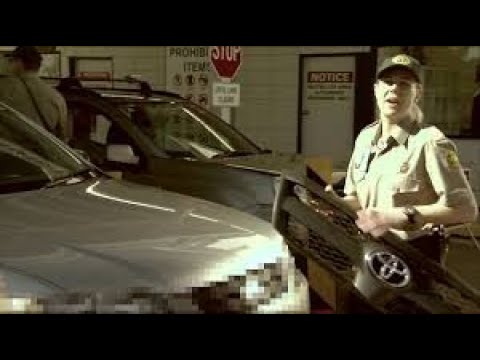 Toyota: Nothing Soft Gets In