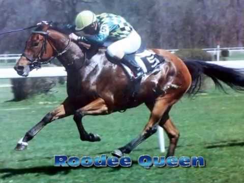 Wien Freudenau versenyek képekben 2013