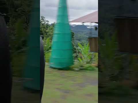 Limón a Turrialba en autobús. Limon Turrialba mit dem Bus. Limon to Turrialba by Bus #LimónTurrialba