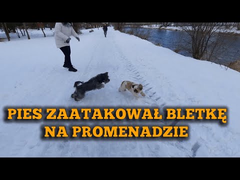 KROŚCIENKO NAD DUNAJCEM i VILLA HASABA vlog#38