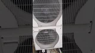 Noisy Air Source Heat Pumps?