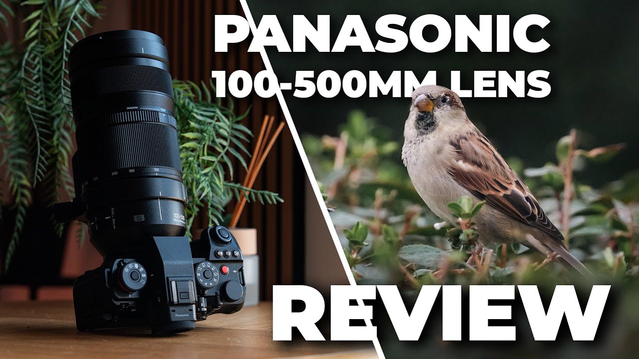 Video thumbnail for Video Review 3