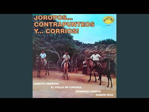 Yo soy el propio llanero