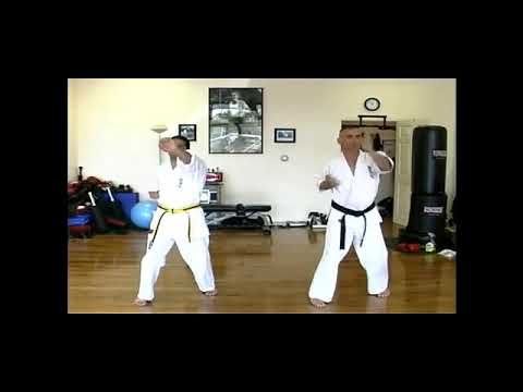 How to Strike with a Palm Heel in Kyokushin Karate