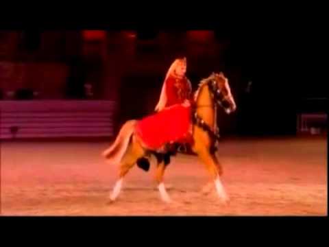 Karabakh Horse Golden Boy II MNM in London.flv