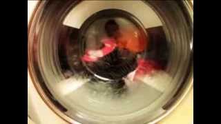 Miele Hydromatic W698 - Cottons 60°C