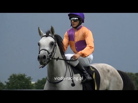 Gon. I (N. Trafa)  - 30.07.2016 - Axara (Kahil Al Shaqab - Anilla)