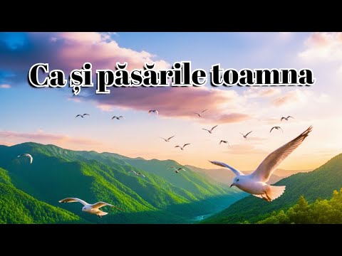 Xspace • all glory to GOD and Sfaturi Creștine