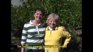 preview picture of video 'Lemon Ladies Orchard'