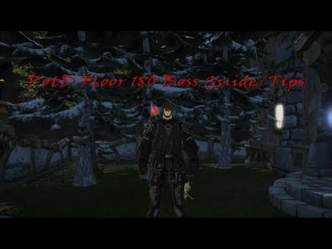 PotD Floor 180 Boss Guide