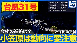 【台風31号 2026】来月初旬に進路変化の可能性 小笠原諸島に近づくか 高気圧の勢力がカギに（29日6時更新）