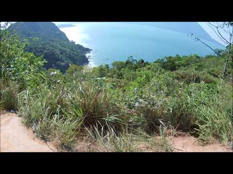 Vancouver Sleep Clinic Ayahuasca