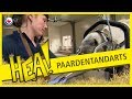 HEA: Naar de paardentandarts