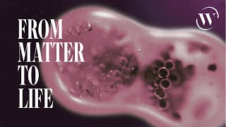 How matter becomes life, in 7 minutes | Lee Cronin