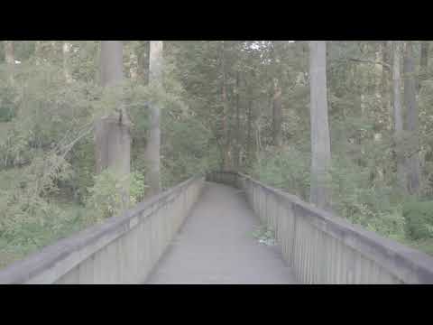 Jawuan Ford x Young Black Louisiana (Official Video) Shot By Robin Vibes