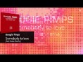 Boogie Pimps - Somebody To Love [Saltshaker Remix]