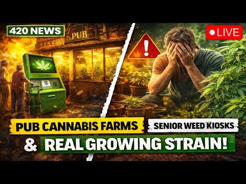 Pubs Turned Into Grow Ops | Study Links Cannabis & Depression | Grow Guides: The Cost of Growing