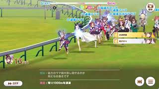 第九十七回デイリー凱旋門賞　2025/11/06 晴 良バ場