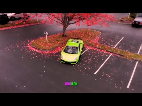 𝐏𝐢𝐧𝐤 𝐕𝐢𝐛𝐞𝐬 𝐖𝐢𝐭𝐡 𝐆𝐫𝐞𝐞𝐧 𝐋𝐚𝐦𝐛𝐨𝐫𝐠𝐡𝐢𝐧𝐢✨️ 💕