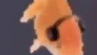 Cover art for fish dance