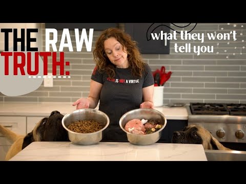 Raw Food Diet For Dogs | 5 Undeniable Truths 