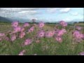 George Winston - Colors/Dance[HD]