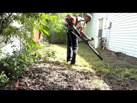 Side Yard Erased in Minutes | Watch the Full Transformation