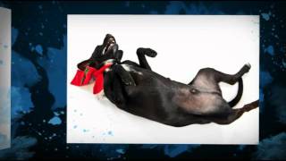 You Could Be the One