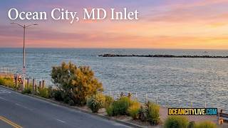 Ocean City MD Live Cam | Inlet View from The Wedge Bar live webcam