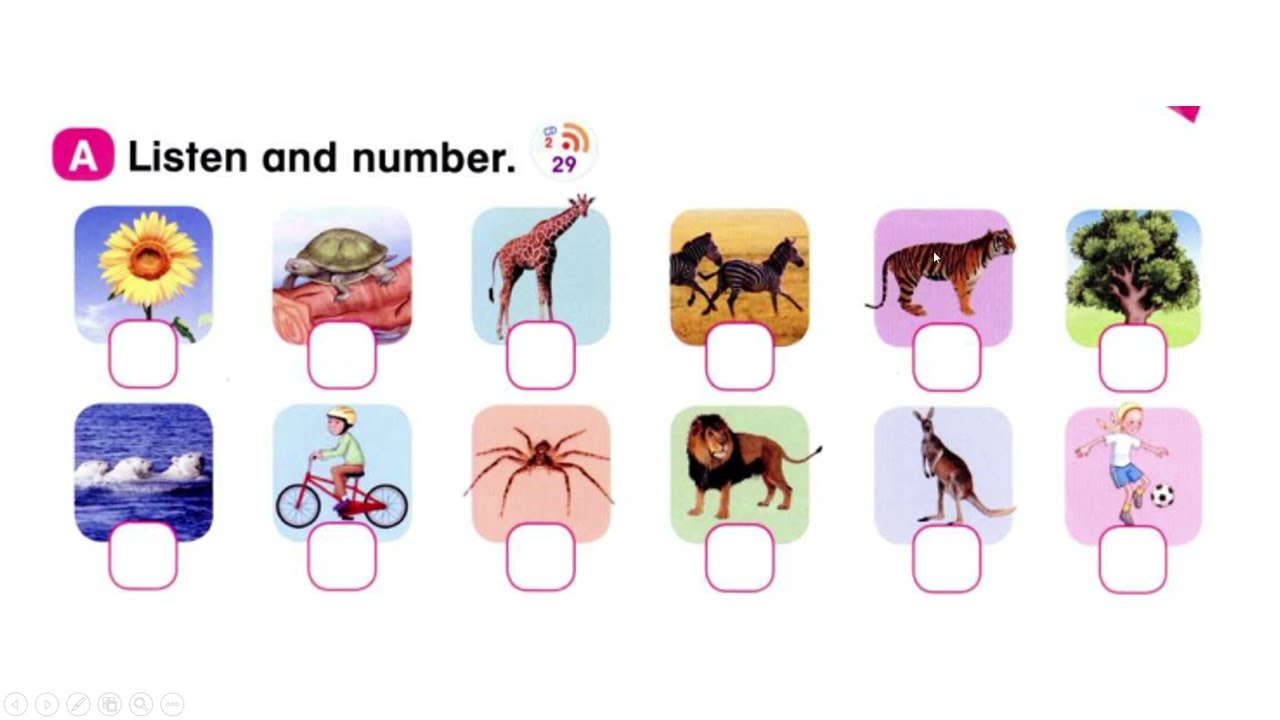 Everybody Up 1 -  Check Up 3