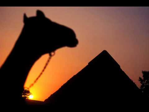 from cairo-ride my camel (oriental lounge).